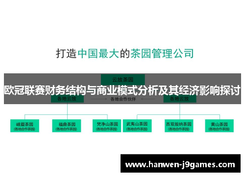 欧冠联赛财务结构与商业模式分析及其经济影响探讨